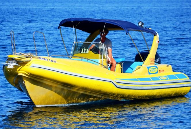 Stingher 747 | Apollon