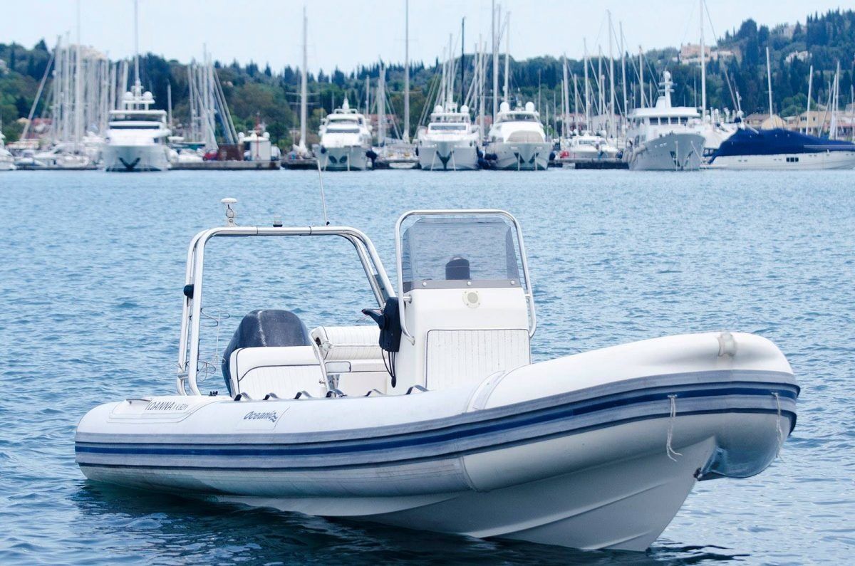 Oceanic Beluga | Kosta 3