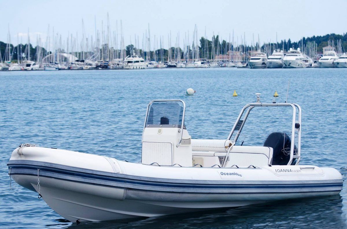 Oceanic Beluga | Kosta 3