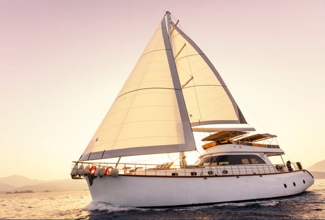 Motor Sailer 75 | Perdue