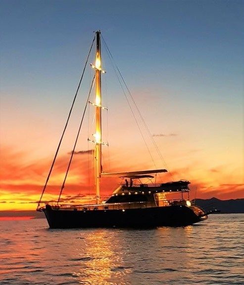 Motor Sailer 75 | Perdue