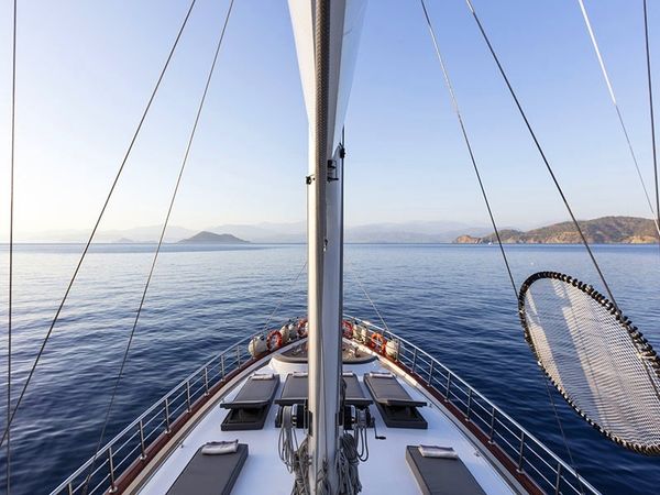 Motor Sailer 75 | Perdue