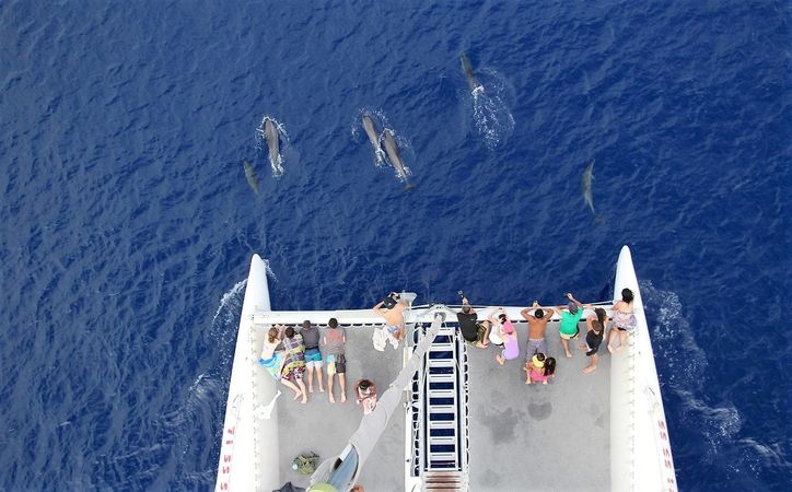 Ocean Voyager 53 | Poe Nui