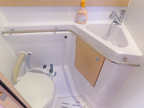 Elan 45 Impression | Lion