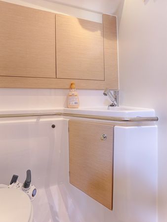 Elan 45 Impression | Lion