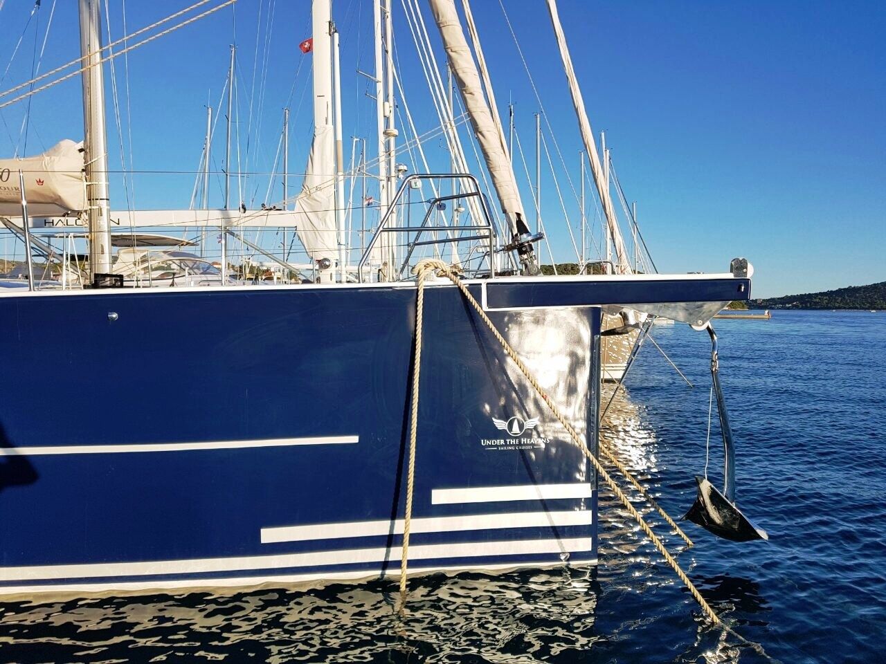 Dufour 560 | Petrovich