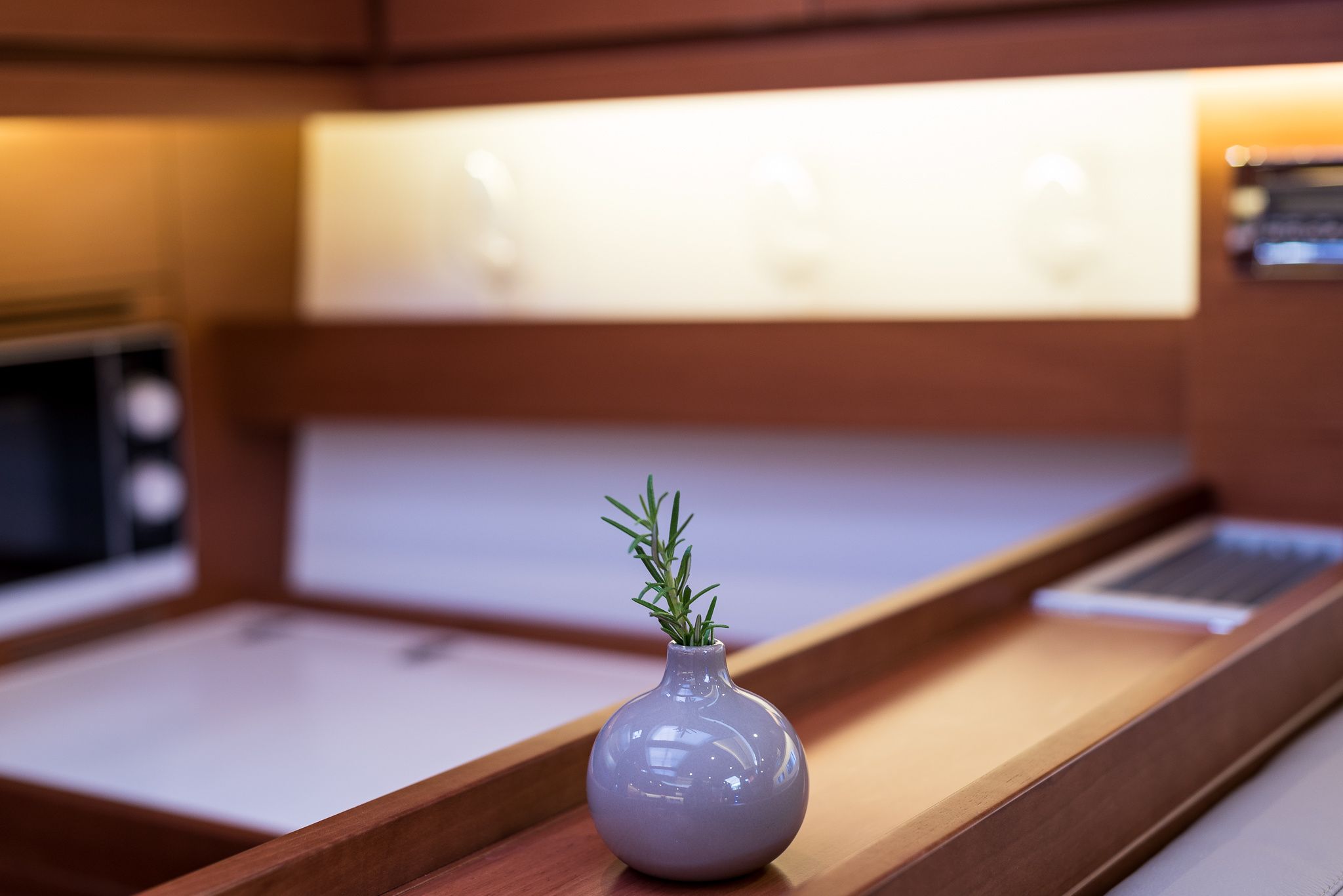 Dufour 560 | Petrovich