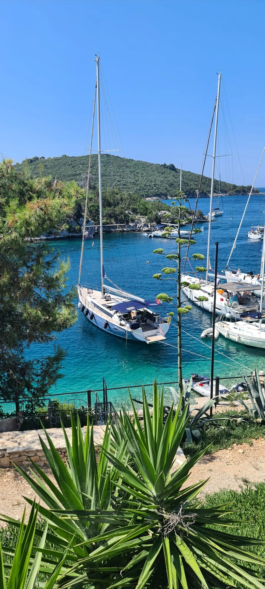 D and D Kufner 54 | Sauvignon Blanc