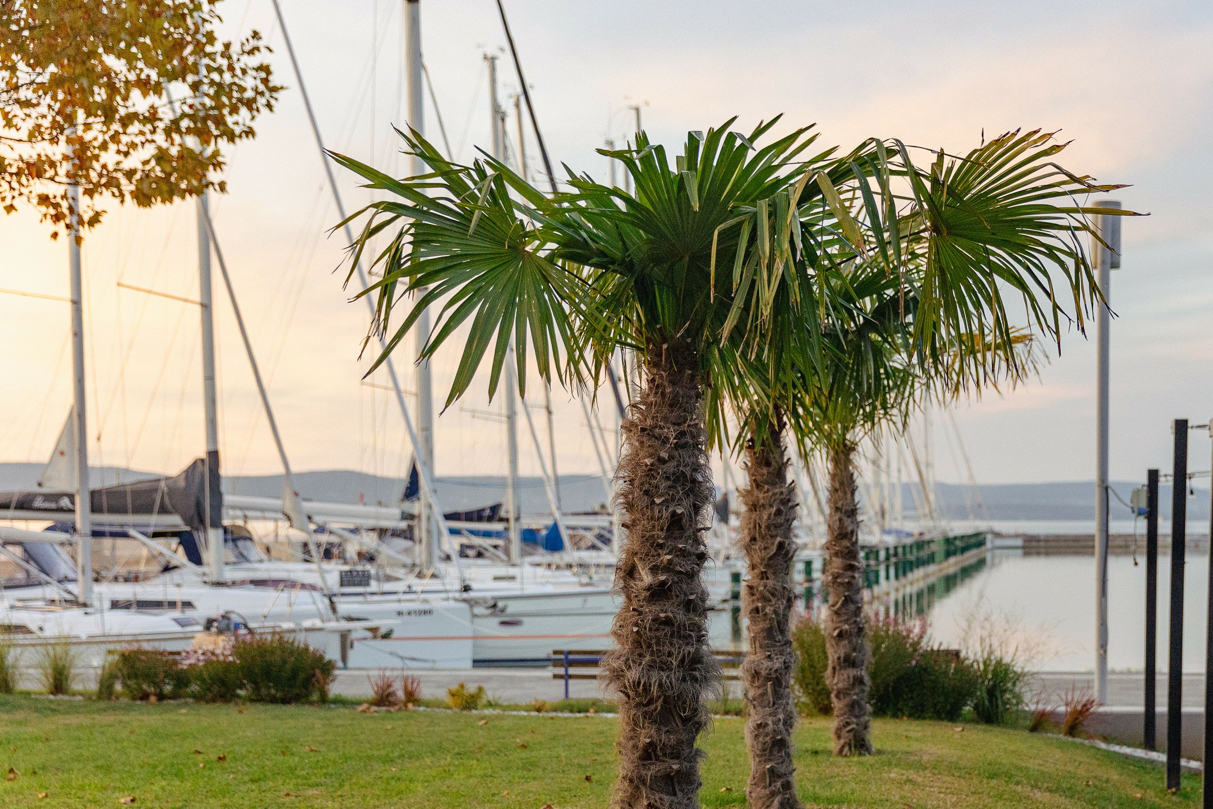 Bavaria 38 Cruiser | Why Not