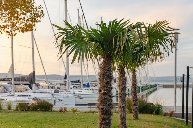 Bavaria 38 Cruiser | Why Not