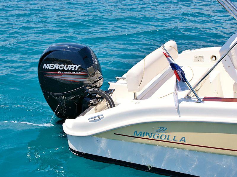 Mingolla 22 | Mingolla Brava 22