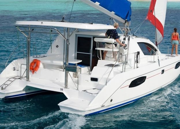 Leopard 384 | Blue Moon