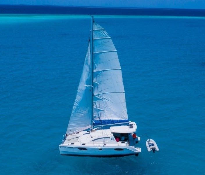 Leopard 384 | Blue Moon