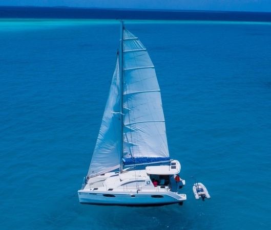 Leopard 384 | Blue Moon