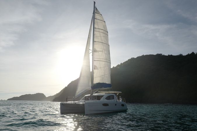 Leopard 384 | Blue Moon