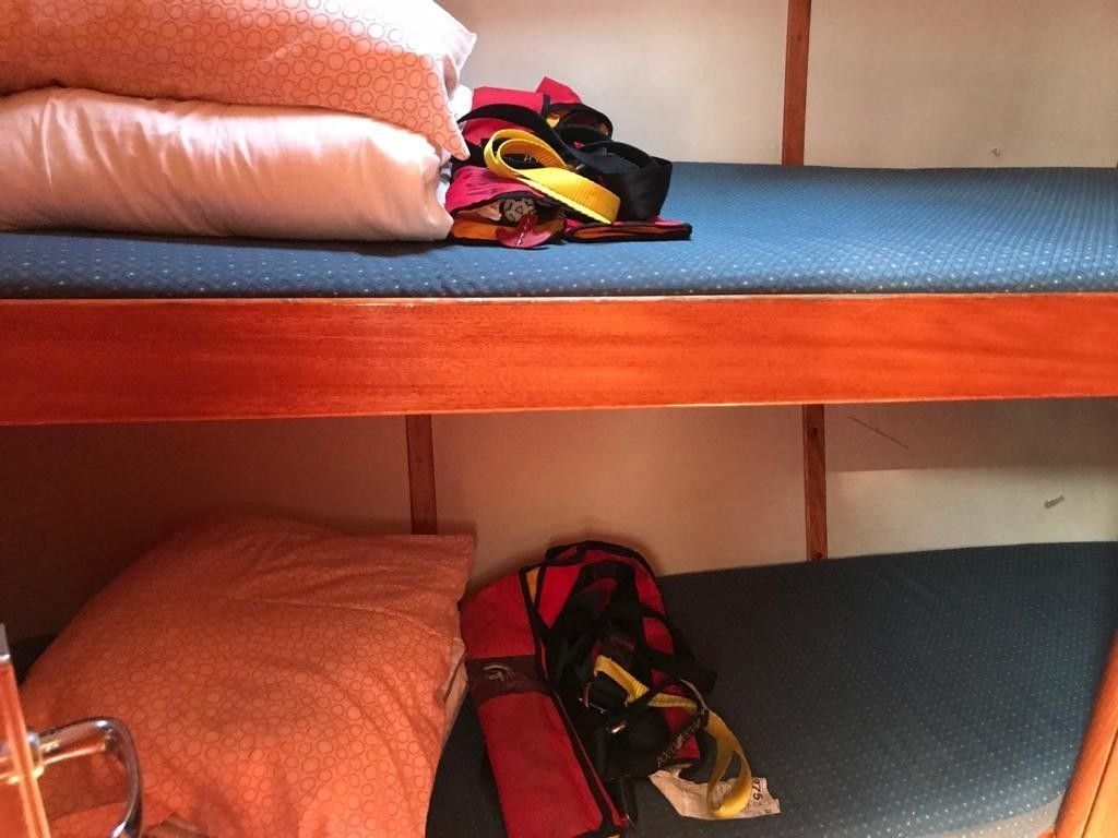 Elan 434 Impression | Pina Colada