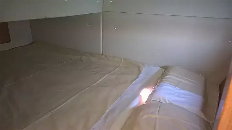 Damor 980 Fjera | Neja