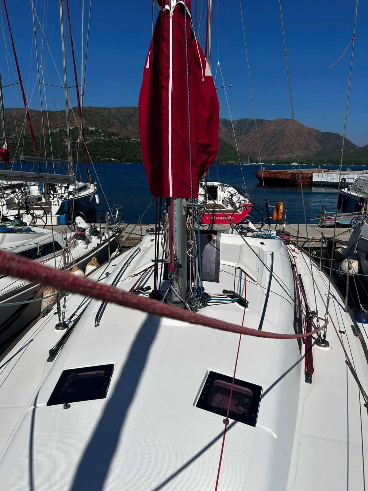Salona 41 | Foxy Fox