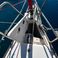 Salona 41 | Foxy Fox