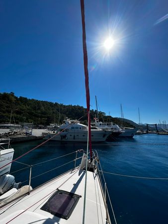 Salona 41 | Foxy Fox