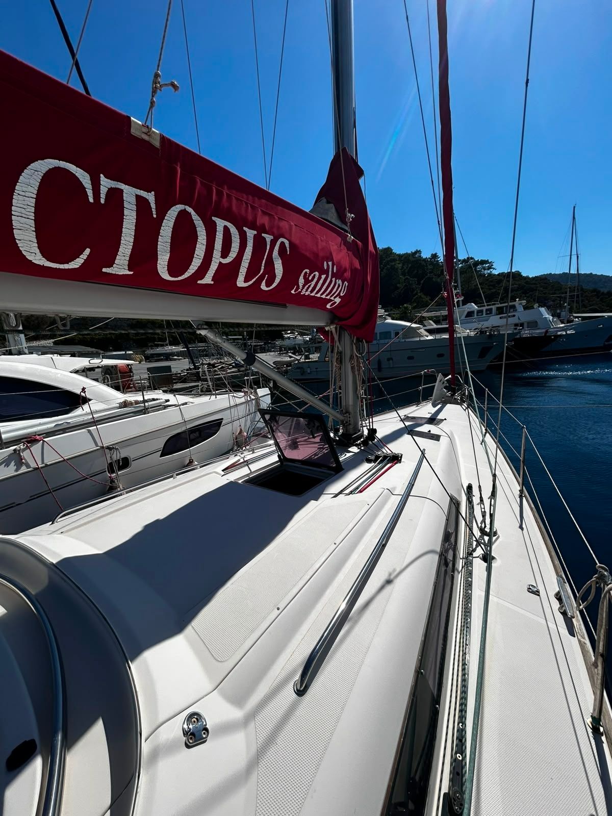 Salona 41 | Foxy Fox