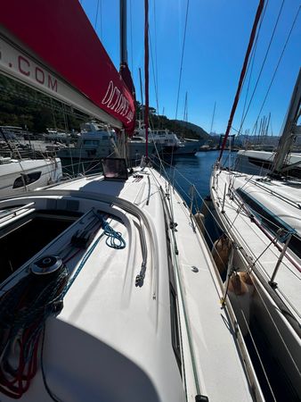 Salona 41 | Foxy Fox