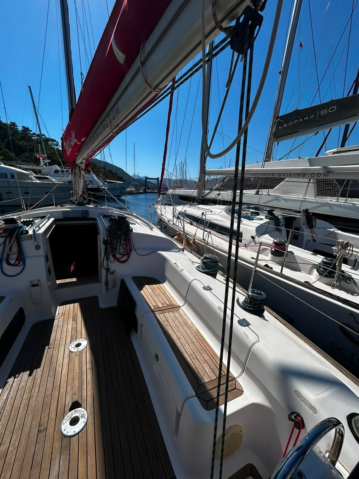 Salona 41 | Foxy Fox