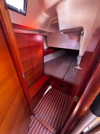 Salona 41 | Foxy Fox