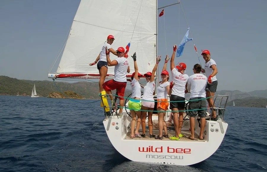 Salona 41 | Wild Bee