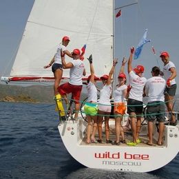 Salona 41 | Wild Bee