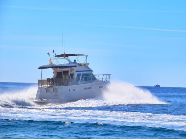 Yaretti 1570 | Grazia