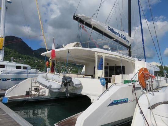 Catlante 600 | Bacchus