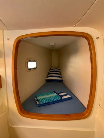 Leopard 4300 | Emocean