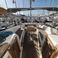 Bavaria Cruiser 40S | Silver Arrow