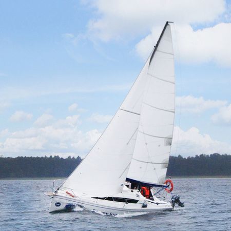 Phobos 25 Family | Petrel