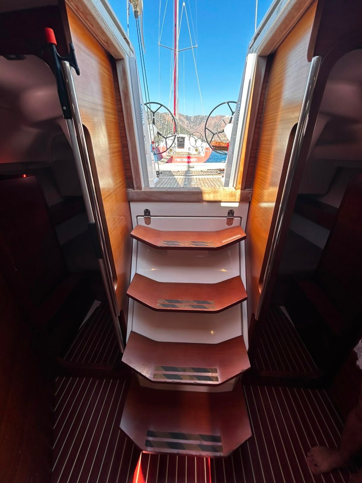 Salona 41 | Crazy Daisy