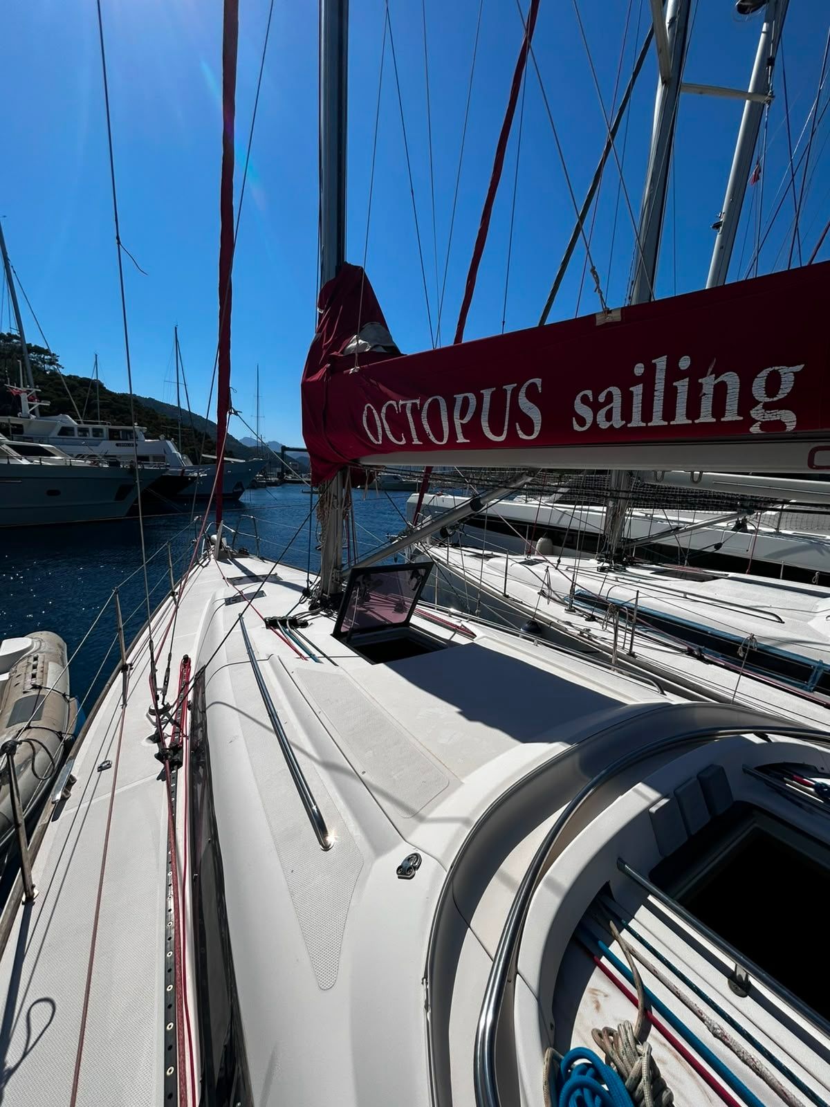 Salona 41 | Crazy Daisy