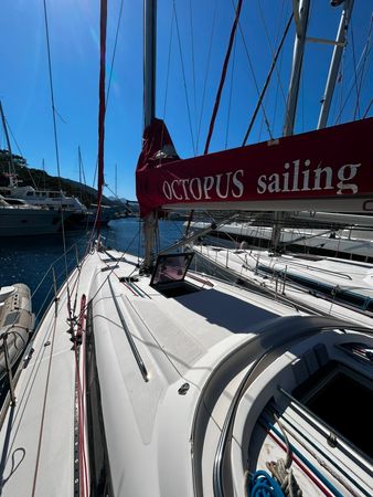 Salona 41 | Crazy Daisy