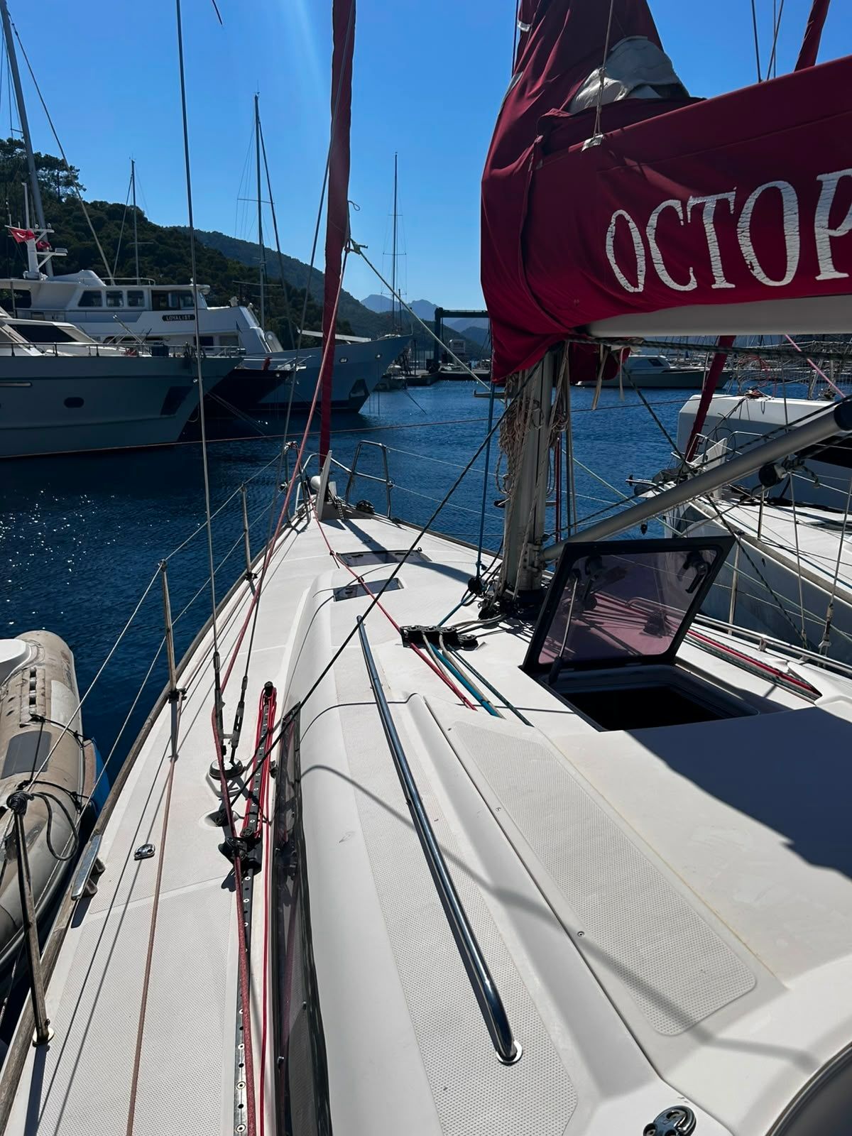 Salona 41 | Crazy Daisy
