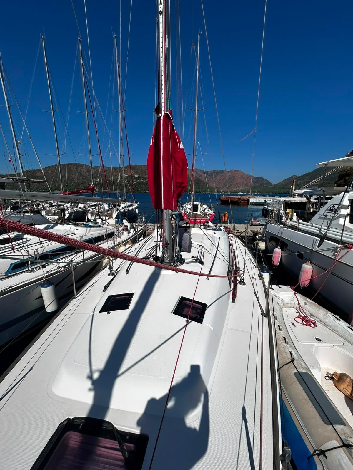 Salona 41 | Crazy Daisy