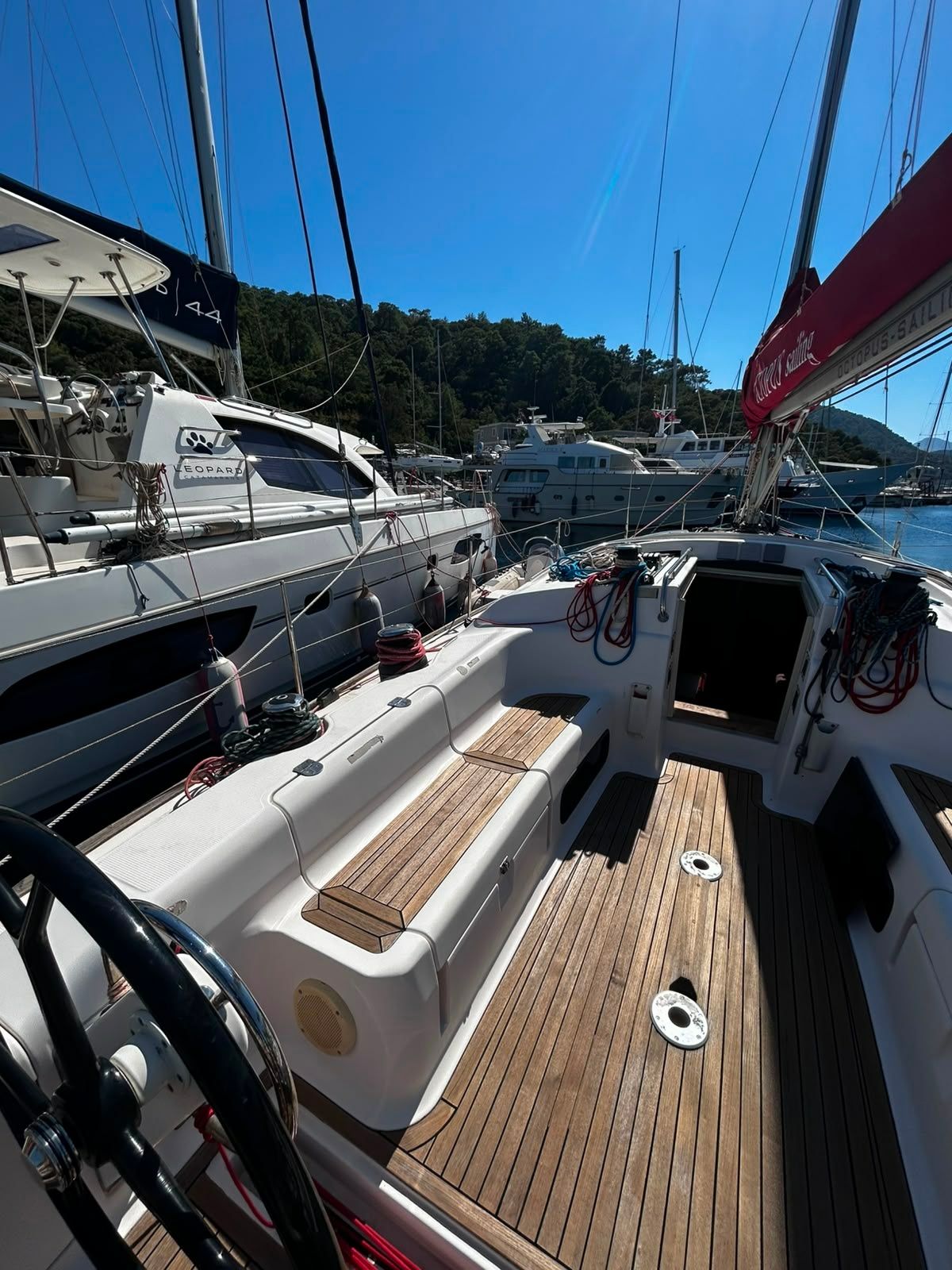Salona 41 | Crazy Daisy