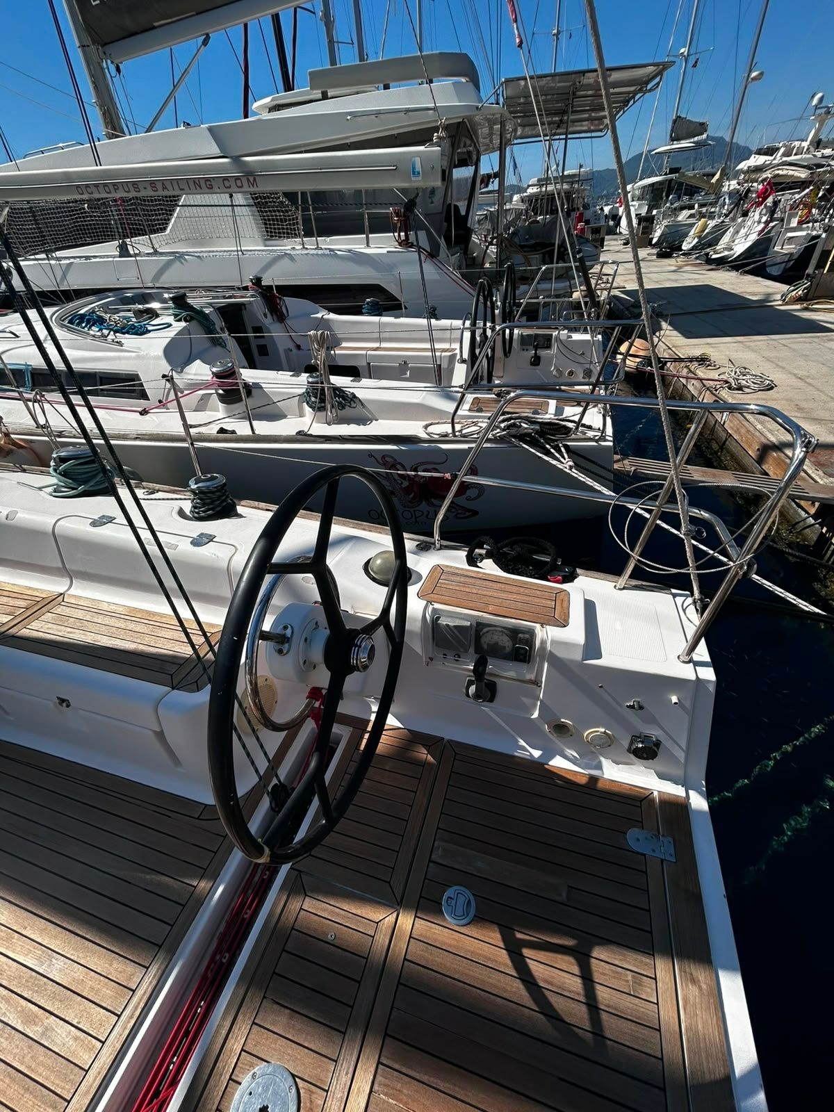 Salona 41 | Crazy Daisy