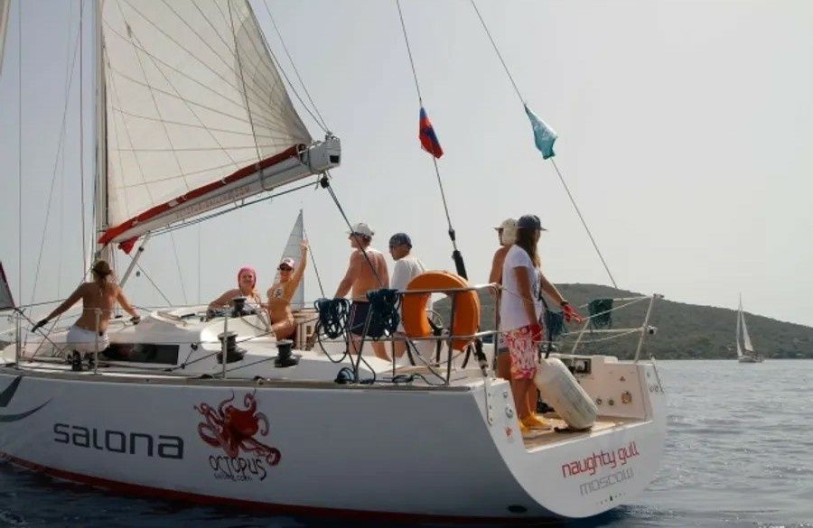 Salona 41 | Naughty Gull