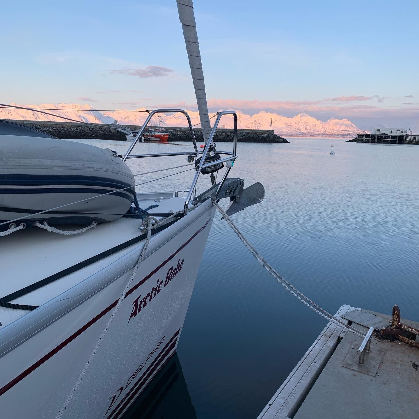 Delphia 33 | Arctic Babe