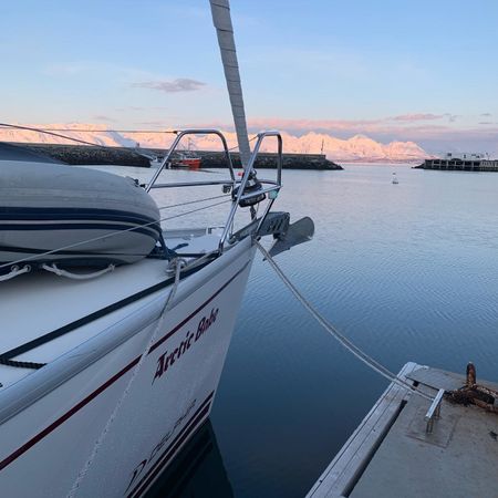 Delphia 33 | Arctic Babe