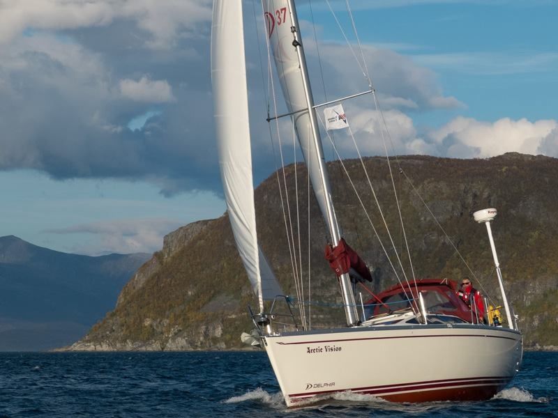 Delphia 37 | Arctic Vision