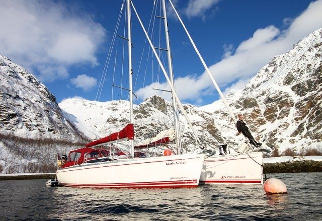 Delphia 37 | Arctic Vision