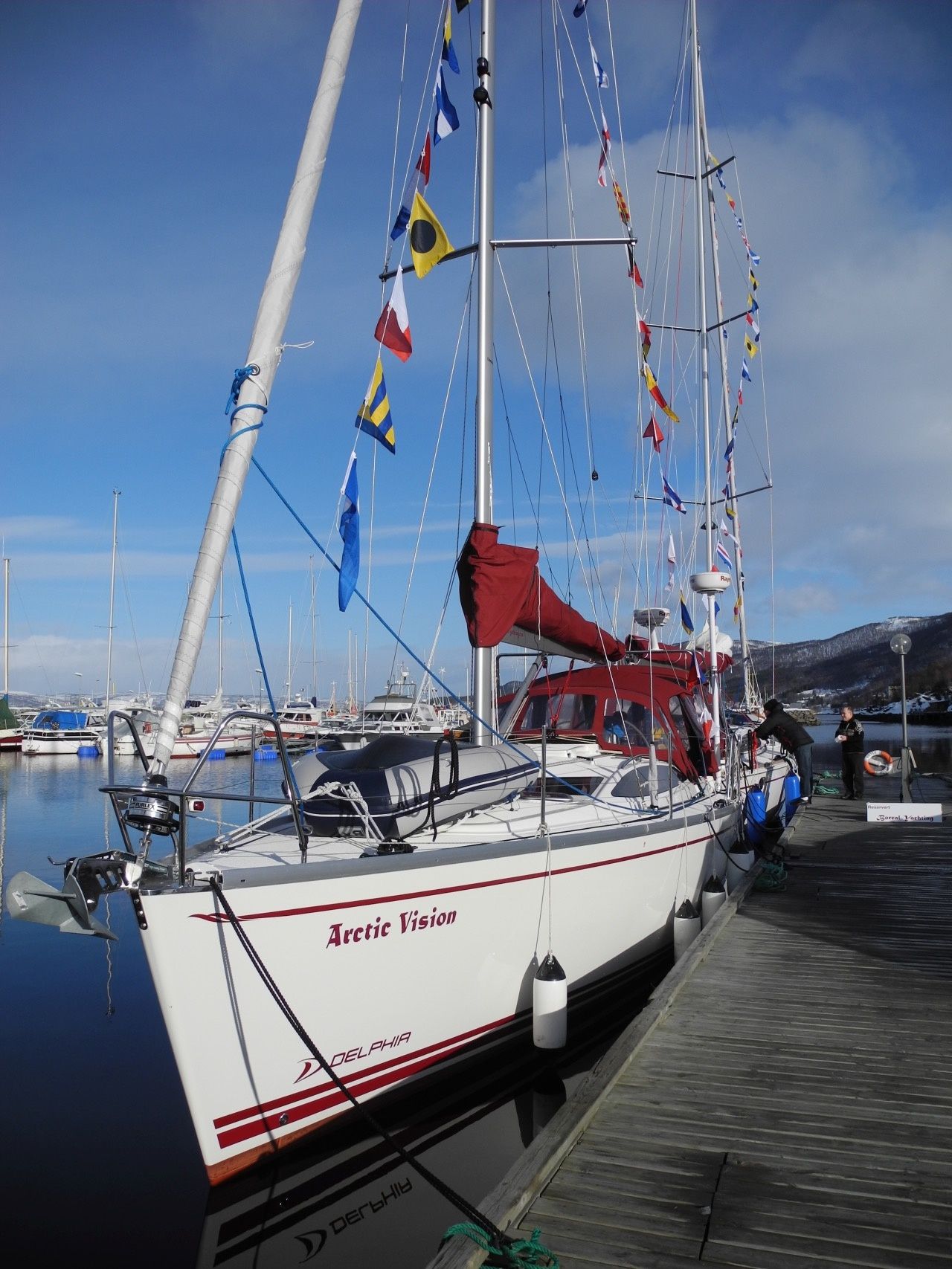 Delphia 37 | Arctic Vision