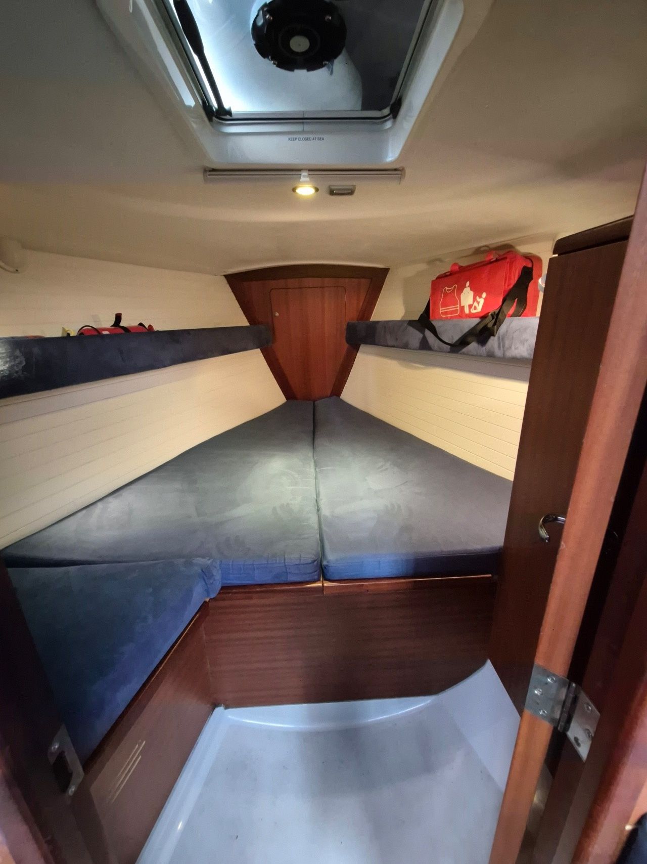 Delphia 37 | Arctic Vision