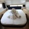 Fountaine Pajot Lucia 40 | La Merkat